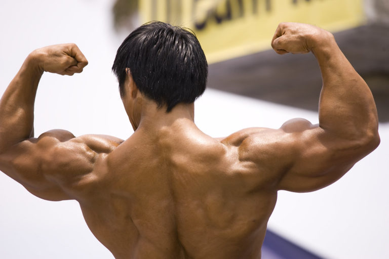 Why Supplements Are Key to Muscle Building